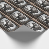 Papier Cadeau African Elephant Sur La Télévision Analogique, (Coin)