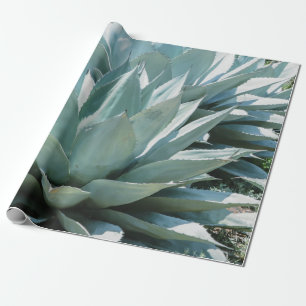 Papier Cadeau Agave Plante Succulent Cactus Vert sauge gris