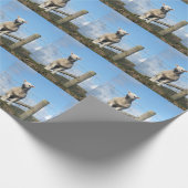 PAPIER CADEAU AGNEAU CUIT (Coin)