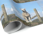 PAPIER CADEAU AGNEAU CUIT (Coin rond)