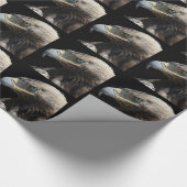 Papier Cadeau Aigle (Coin)