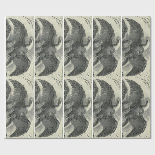 Papier Cadeau Aigle (Plat)