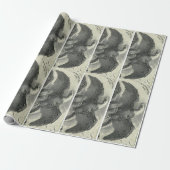 Papier Cadeau Aigle (Déroulé)