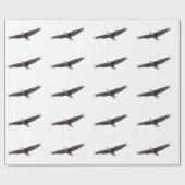 Papier Cadeau Aigle à tête blanche (Plat)