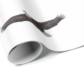 Papier Cadeau Aigle à tête blanche (Coin rond)