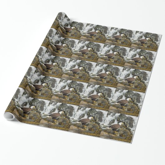 Papier Cadeau Aigle à tête blanche (Déroulé)