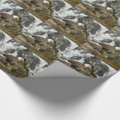 Papier Cadeau Aigle à tête blanche (Coin)