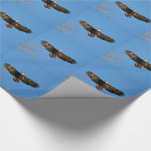 Papier Cadeau Aigle à tête blanche (Coin)