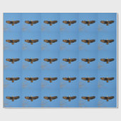 Papier Cadeau Aigle à tête blanche (Plat)