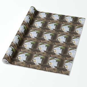 Papier Cadeau Aigle nicheur