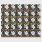 Papier Cadeau Aigle nicheur (Plat)