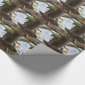 Papier Cadeau Aigle nicheur (Coin)