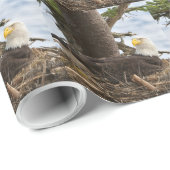 Papier Cadeau Aigle nicheur (Coin rond)
