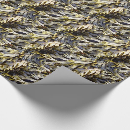 Papier Cadeau Algue (Coin)