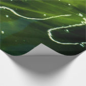 Papier Cadeau Algues vertes et eau wpcna (Coin)
