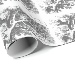 Papier Cadeau Alice au pays des merveilles Cheshire Papier d'env