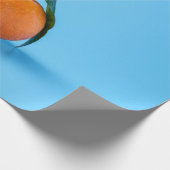 Papier Cadeau Aliments sains (Coin)