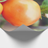 Papier Cadeau Aliments sains (Coin)