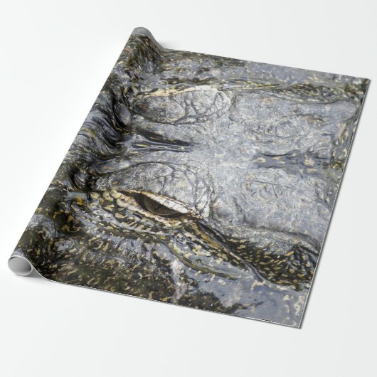 Papier Cadeau Alligator (Déroulé)