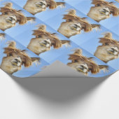 Papier Cadeau Alpaga avec les cheveux fous (Coin)