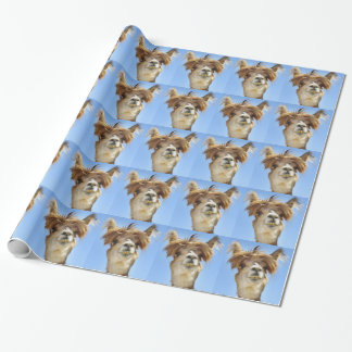Papier Cadeau Alpaga fol de cheveux