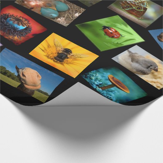 Papier Cadeau Amant de nature (Coin)