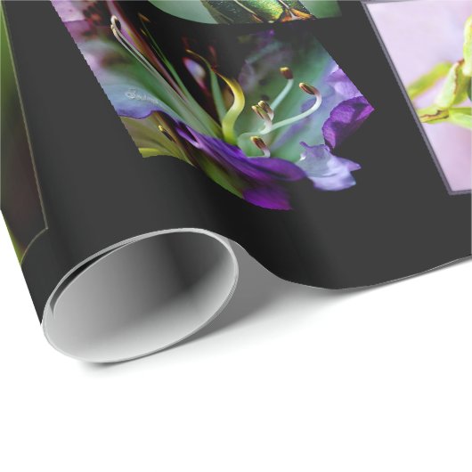 Papier Cadeau Amant de nature (Coin rond)