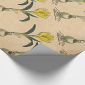 Papier Cadeau Amaryllis Tulip Jardin Botanique Fleur (Coin)