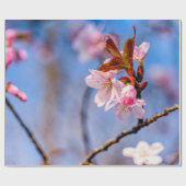 Papier Cadeau Ambiance Des Fleurs De Sakura Frais (Plat)