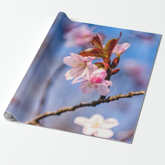 Papier Cadeau Ambiance Des Fleurs De Sakura Frais (Déroulé)