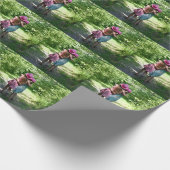 Papier Cadeau Amitié des soeurs dans le pays rustique du printem (Coin)