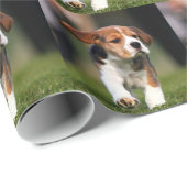 Papier Cadeau Amour de chiot de beagle (Coin rond)