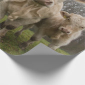 Papier Cadeau Amusant troupeau de vaches dans le pâturage (Coin)