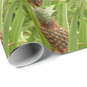 Papier Cadeau Ananas sauvage Fruit tropical dans la nature (Coin rond)