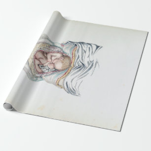 Papier Cadeau Anatomie ancienne d'un nourrisson humain dans l'ut