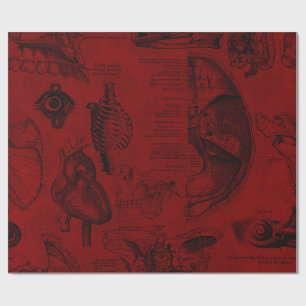Papier Cadeau Anatomie de Vampyre cramoisie