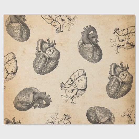 Papier Cadeau Anatomie Vintage (Plat)
