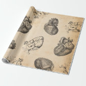 Papier Cadeau Anatomie Vintage (Déroulé)