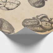 Papier Cadeau Anatomie Vintage (Coin)
