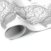 Papier Cadeau Anatomie vintage de cerveau (Coin rond)