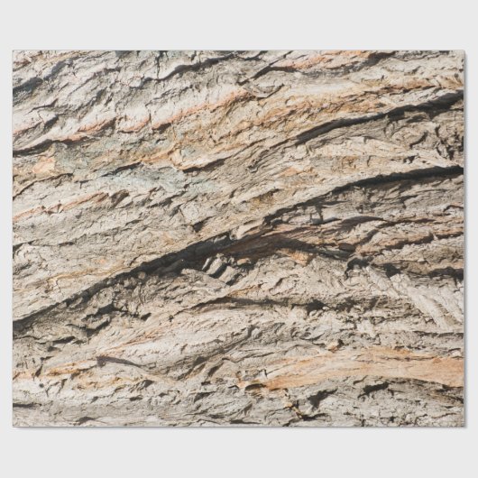 Papier Cadeau Ancien motif de tronc (Plat)