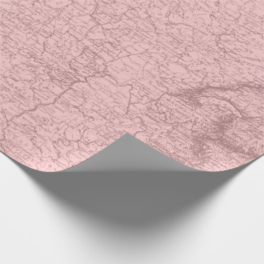 Papier Cadeau Ancien Plan Paris Mauve Lilac Blush Pink Royal (Coin)