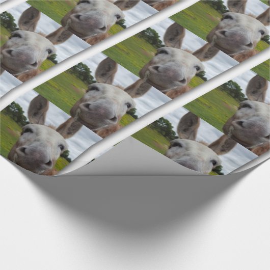 Papier Cadeau Andy (Coin)