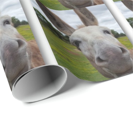 Papier Cadeau Andy (Coin rond)