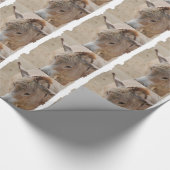 Papier Cadeau Âne (Coin)