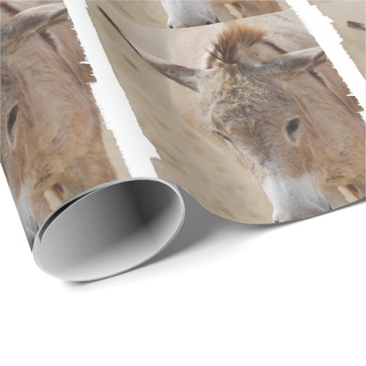 Papier Cadeau Âne (Coin rond)