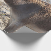 Papier Cadeau Âne adorable (Coin)