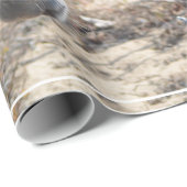 Papier Cadeau Âne adorable (Coin rond)