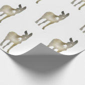 Papier Cadeau Âne de gradient (Coin)