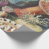 Papier Cadeau Anémone de mer Nature scientifique Océan (Coin)